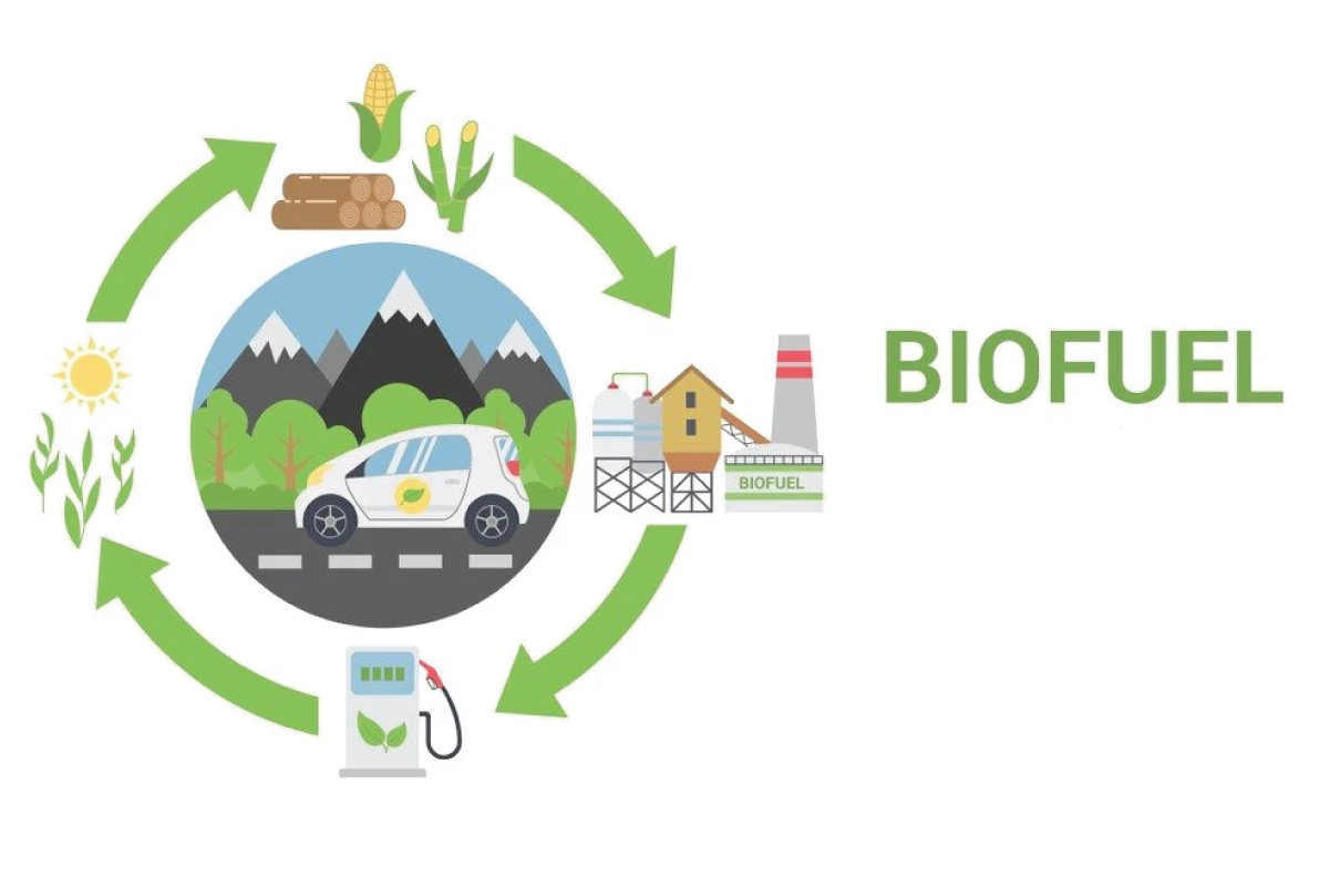 Technical illustration for Chem-Tech offers Biofuel Testing
