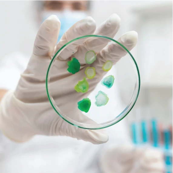 Laboratory preparation for microbiological testing